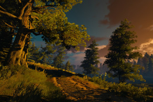 一场“小概率”事件引发热议，乒坛巨头的退步还是新人的崛起